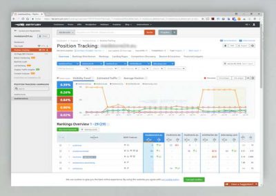 SEO-Analyse Position